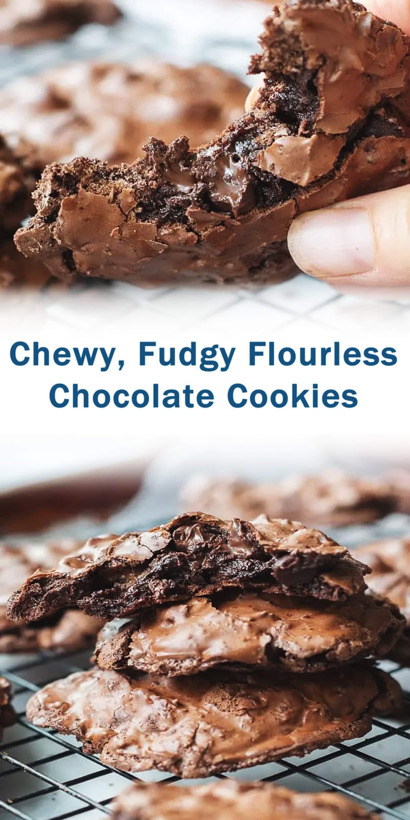 ChewyFudgy Flourless Chocolate Cookies