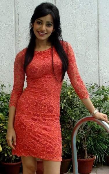 Neha Sharma Hd Wallpapers Neha Sharma Hd Wallpapers