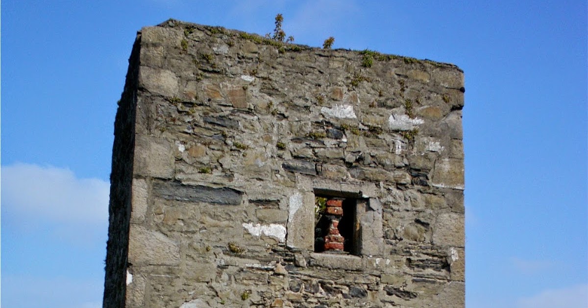 Ireland In Ruins Irishtown Castle Co Dublin