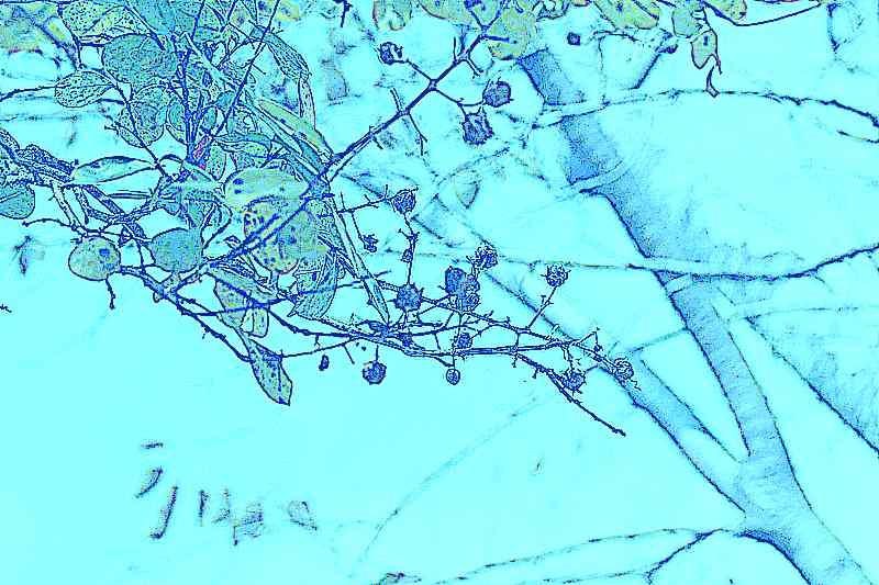 구례 화엄사 구례 화엄사