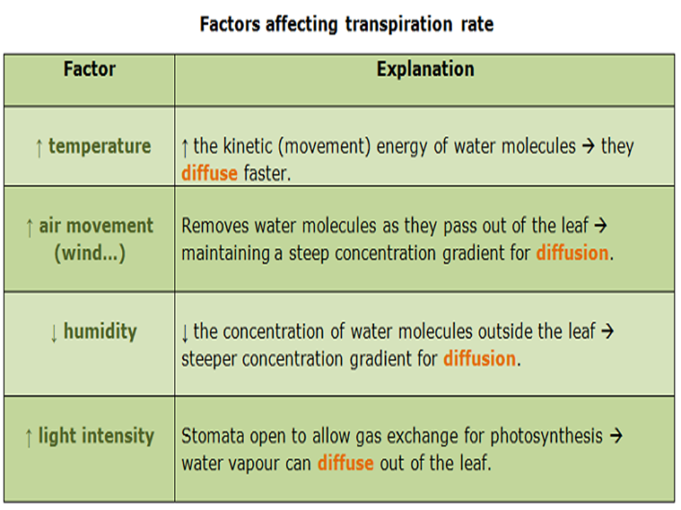 Effect rate. Transpiration rate. Measuring transpiration rate. Фактор сжатия rate Factor. Предложения с affect.