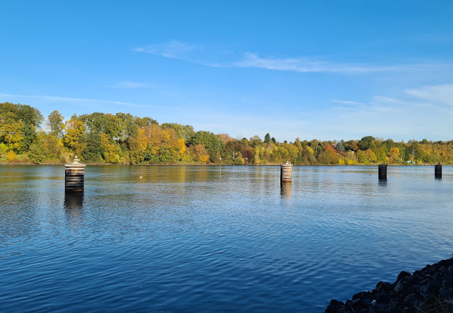 Küsten-Spaziergänge rund um Kiel, Teil 7: Herbst-Spaziergang am Nord-Ostsee-Kanal bei Suchsdorf. In der Weiche bei Schwartenbek sind die Dalben ersetzt worden. Sie dienen den Schiffen im NOK bei einem Ausweich-Manöver zum Festmachen.