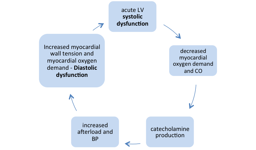 para q sirve el alopurinol 300 mg Consider, that