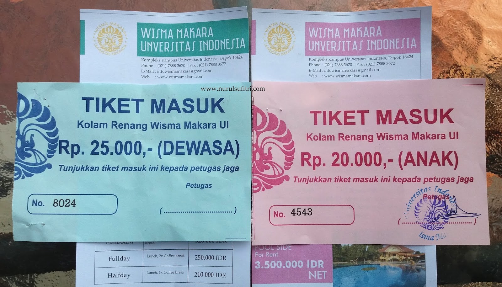 Nurul Sufitri S Blog Yuk Nyebur Bareng Di Kolam Renang Wisma