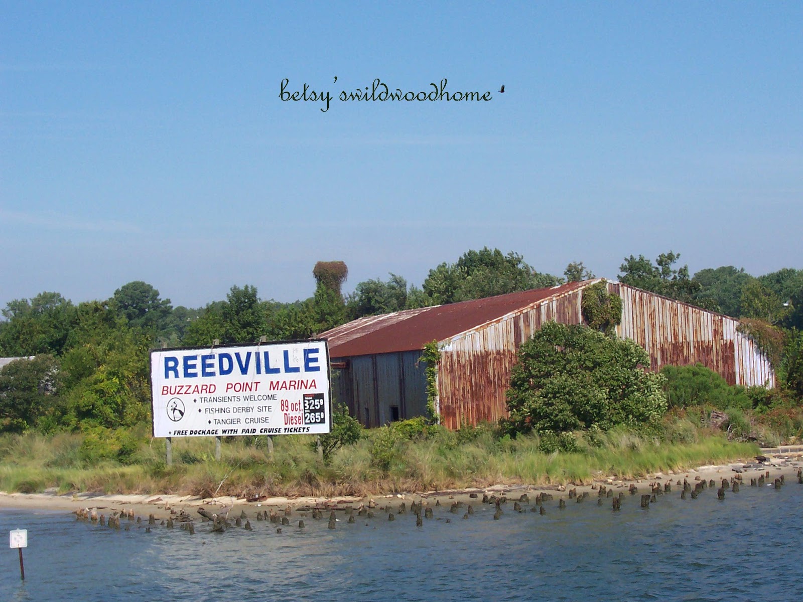 Betsy's Wildwood Home Barn from boat to Tangier Island