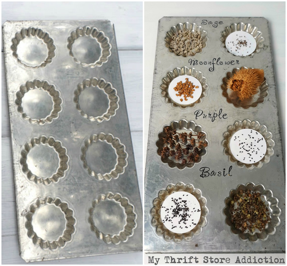 repurposed tart tin seed tray