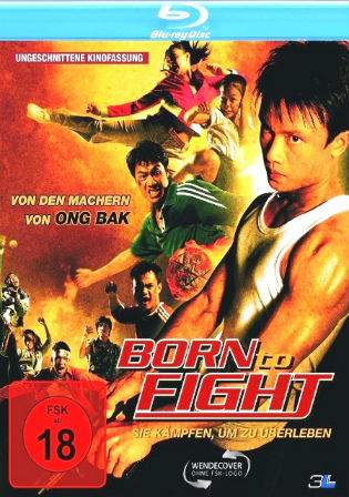 Born To Fight 2004 BluRay 300MB Hindi Dual Audio 480p Watch Online Full Movie Download bolly4u Born To Fight 2004 BluRay 300MB Hindi Dual Audio 480p Watch Online Full Movie Download bolly4u