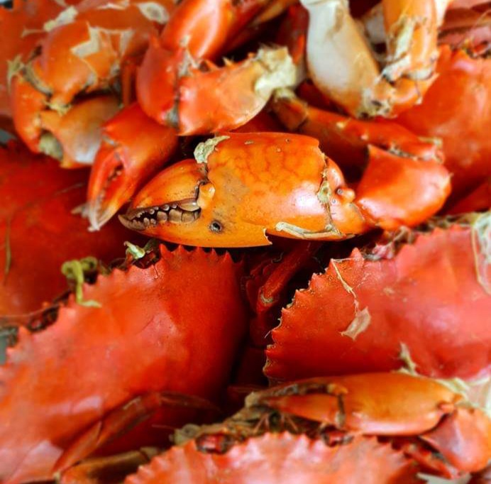 Five Ways to Cook Fresh Crab Recipe