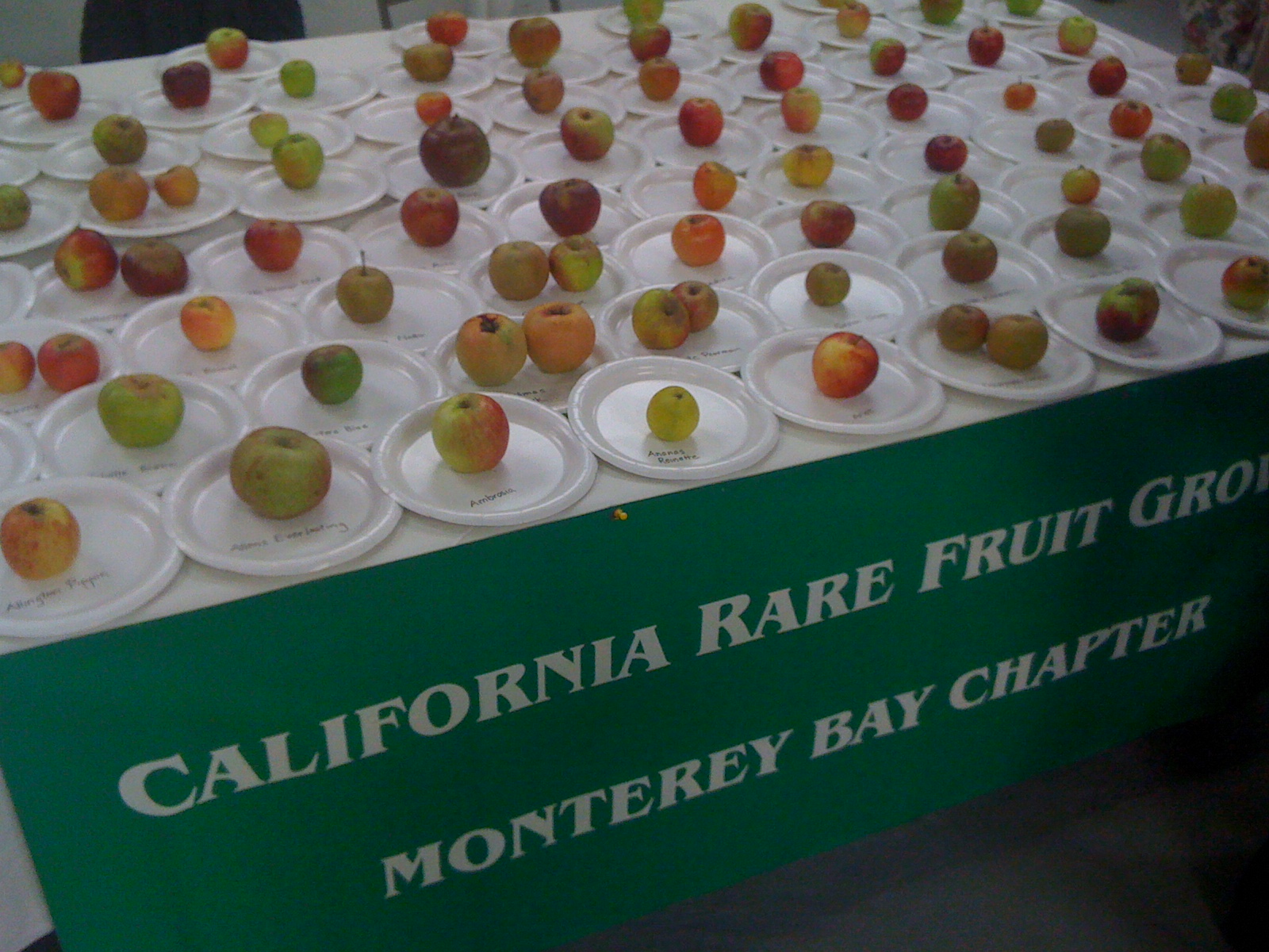 Photos from the National Heirloom Exhibition Root Simple