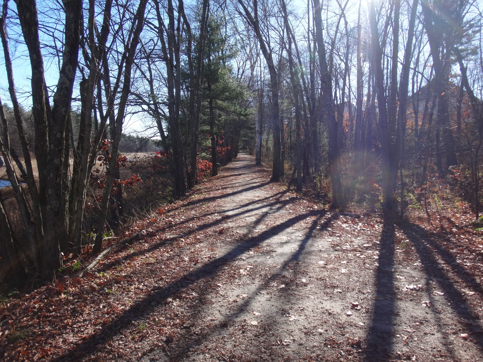 double d mountain runner Hooksett Rail Trail