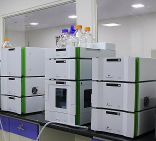 Hplc System Software Validation Plan Pharmaceutical Guidelines