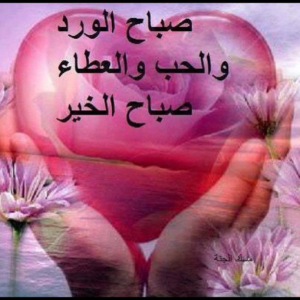 صور صباح الخير