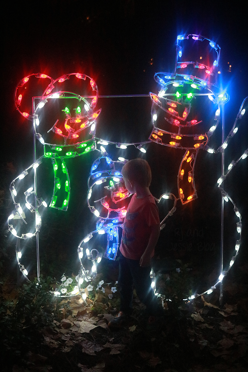 Zoo Lights at Jacksonville Zoo 2016