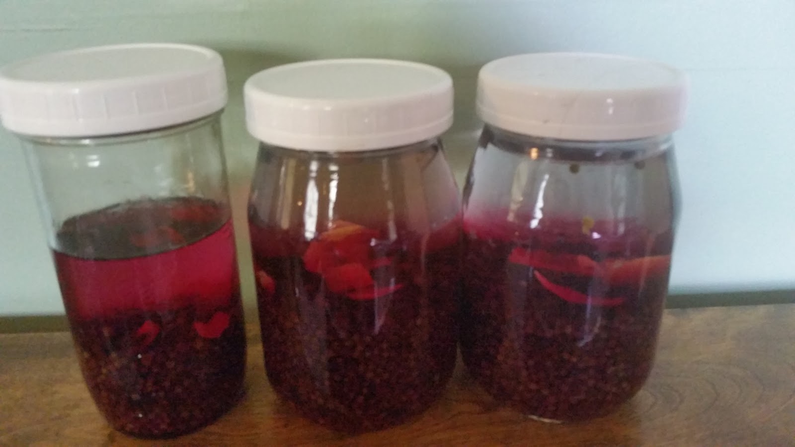 Farmstand Cookbook elderberry cordial