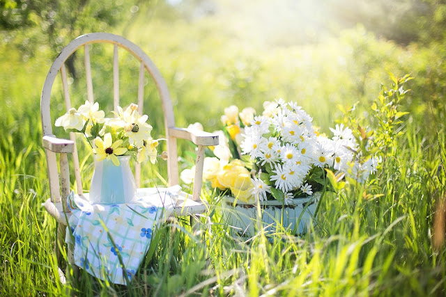 Fumigación de jardines: ¿cómo eliminar plaga de topos"