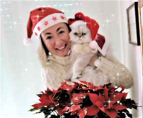 Le realizzazioni di Barbara69: &quot;Buon Natale 2016&quot;