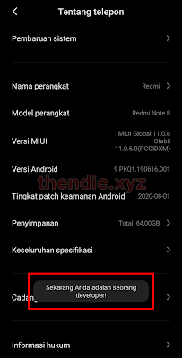 Developer options aktif Contoh developer options telah aktif