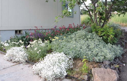 Homestead Happenings Town Yard Report