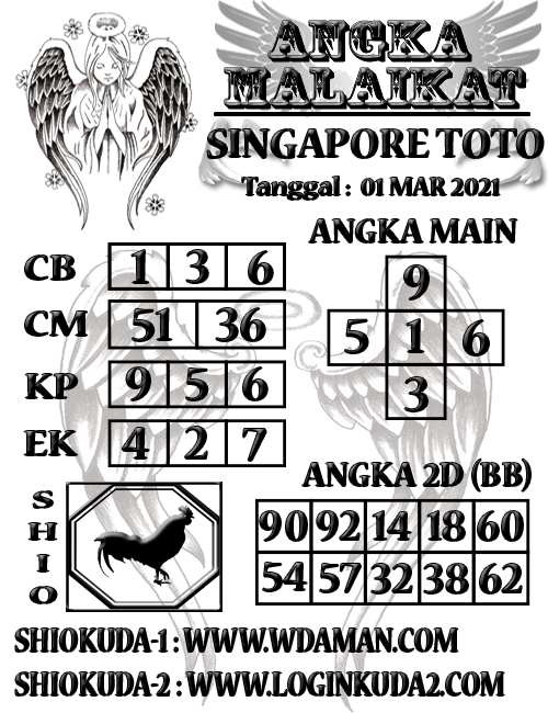 SYAIR SINGAPORE PacuanKuda Shiokuda 1 SYAIR SINGAPORE PacuanKuda Shiokuda 1