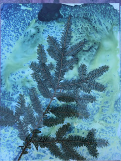 Wet cyanotype_Sue Reno_Image 740