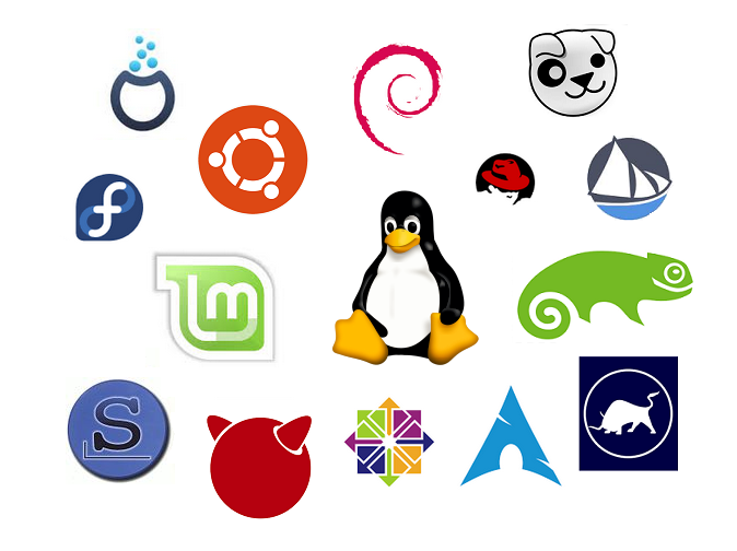 Biography of linux operating system