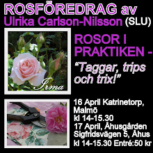 Rosföreläsning 16 och 17 April...