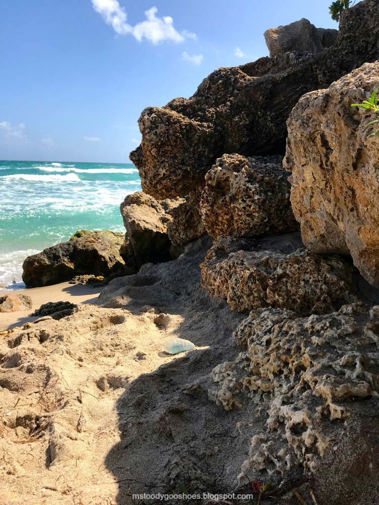 Deerfield Beach: A Month In Florida |Ms. Toody Goo Shoes Deerfield Beach: A Month In Florida |Ms. Toody Goo Shoes