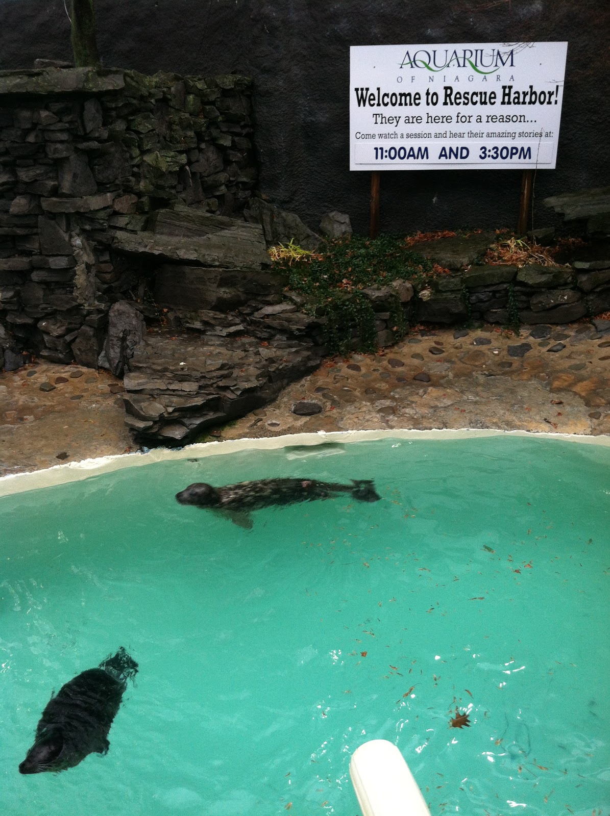 BuffalOh The Places You'll Go The Aquarium of Niagara