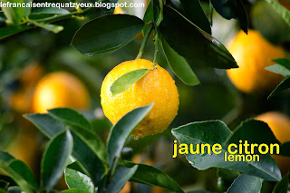 lemon citron jaune yellow vocabuulary french colour