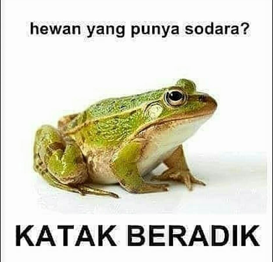 Meme Tebak Tebakan Lucu Yang Super Konyol Ayo Ketawa Gudangnya Humor Indonesia