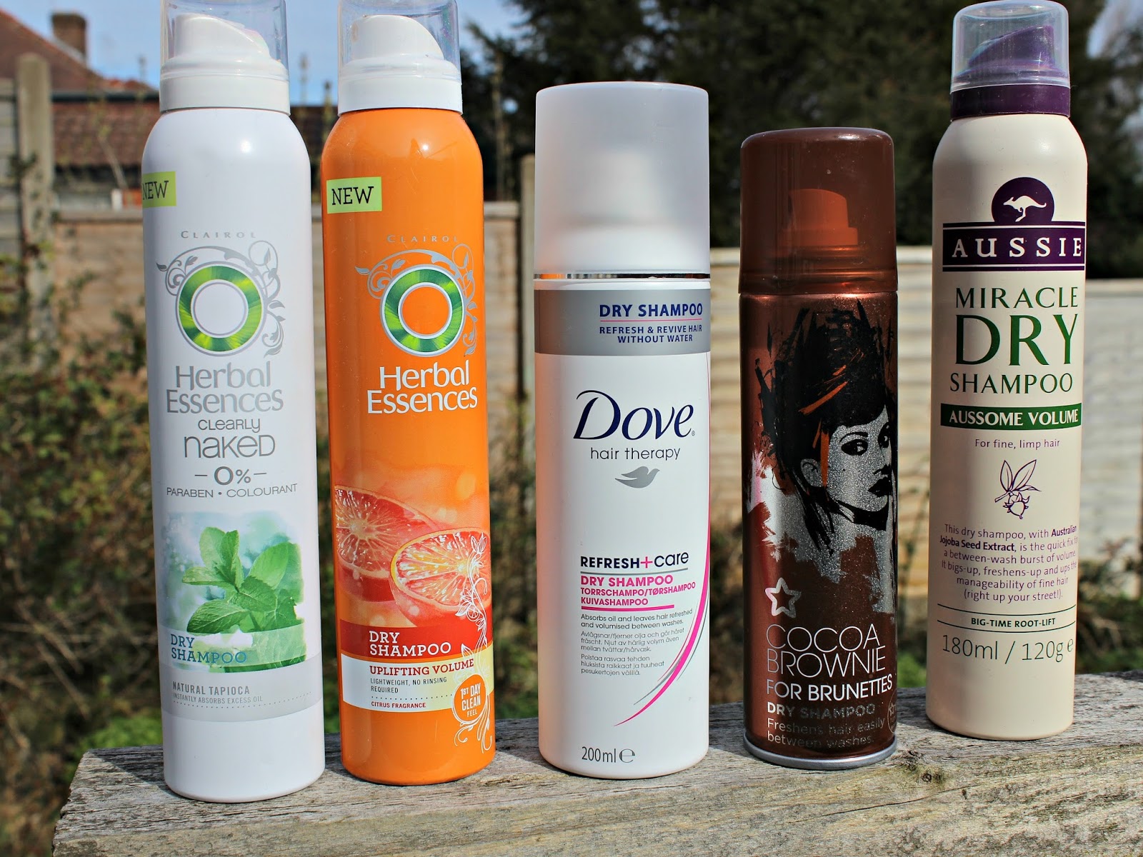 A picture of Dry Shampoos