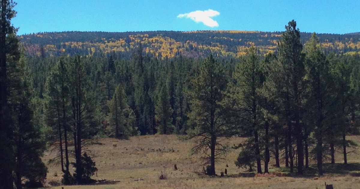 Southern New Mexico Explorer Forest Roads 76 and 171 Santa Fe