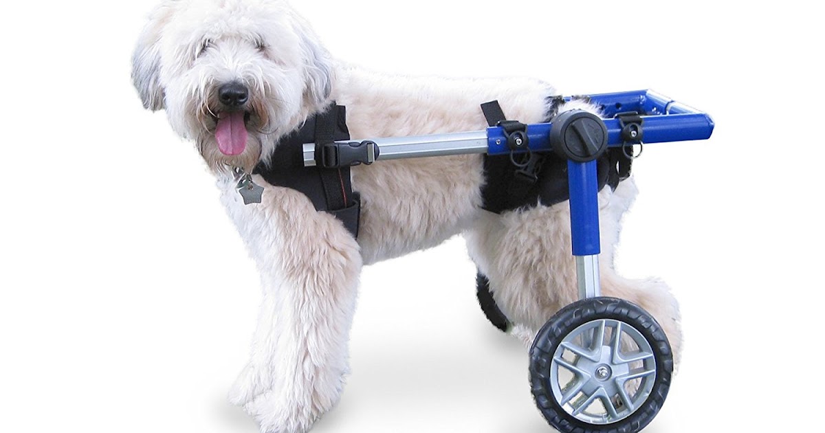 Como hacer una silla de ruedas para perros