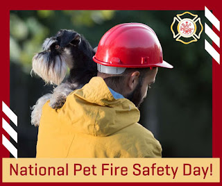 National Pet Fire Safety Day HD Pictures, Wallpapers