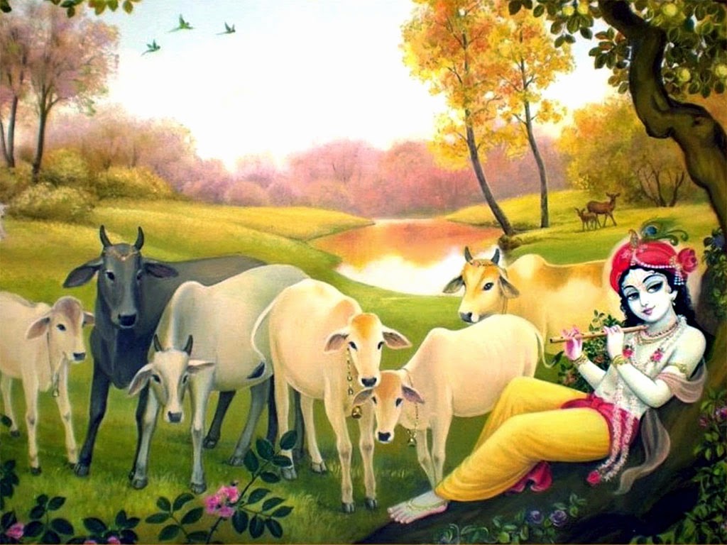 Hindu God Wallpapers Lord Krishna with Cow Wallpapers