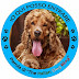 Festività Dog Friendly con The Italian Dog Blog