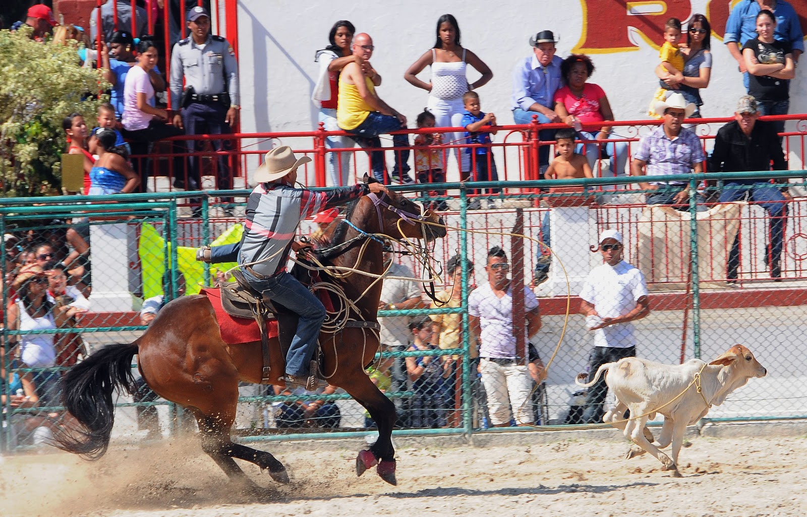 El ojo que te ve: EL RODEO CUBANO VIVE