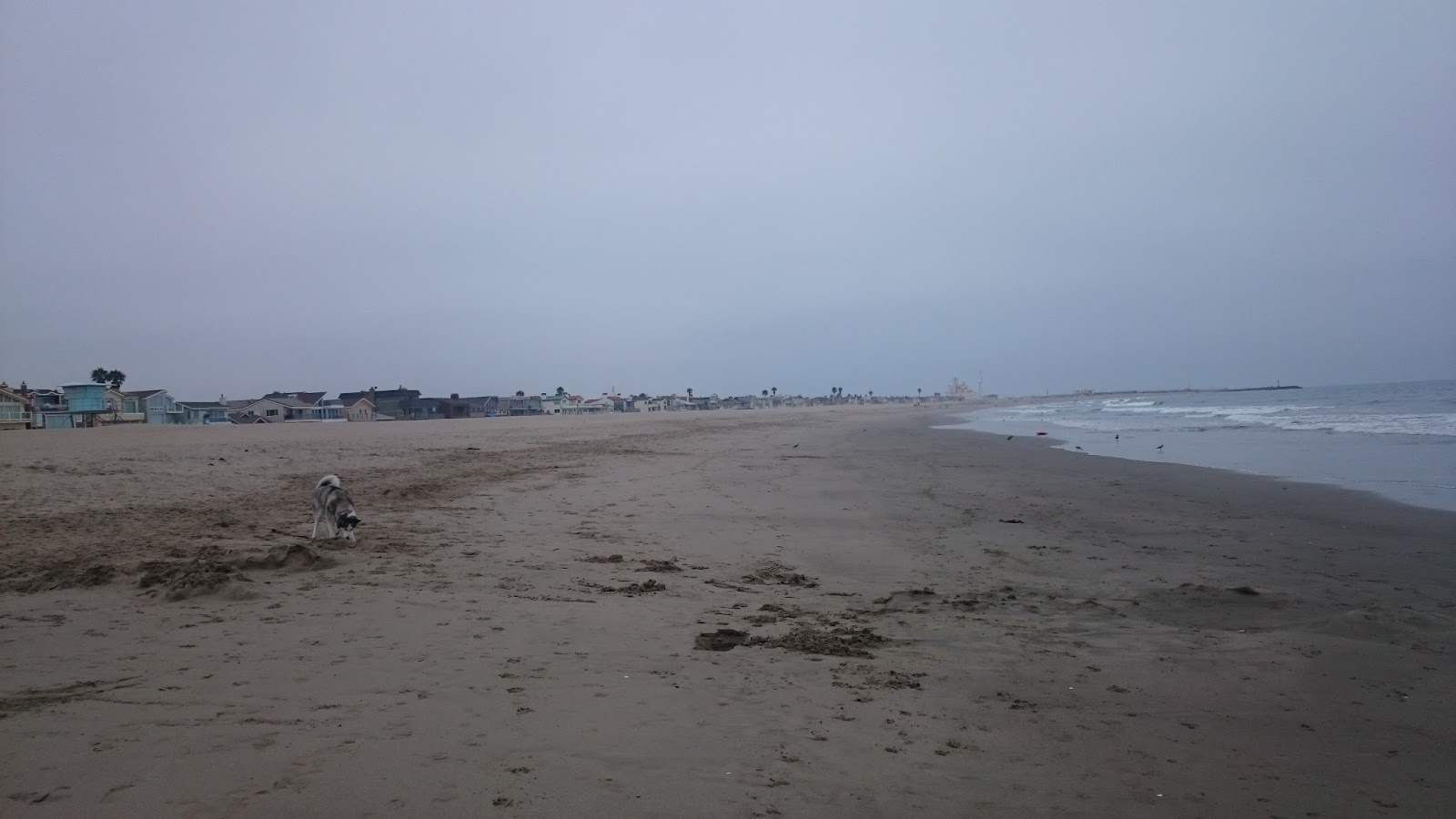 My Quest for 1000 Hikes Day 5354 Silver Strand Beach/Camarillo Water