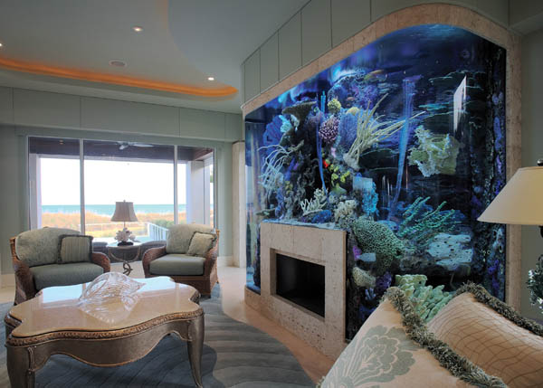 20 Best Aquarium Fish Ideas Integrate Interior House Designs