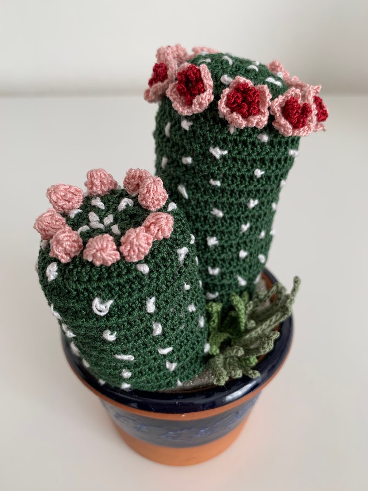 Il Blog Di Sam Crochet Fat Plant Explanation Mammillaria