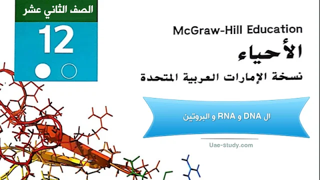 حل درس ال DNA و RNA و البروتين للصف الثاني عشر