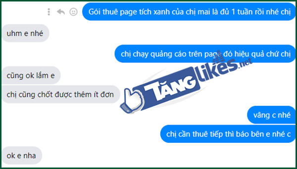 cho thue page tich xanh