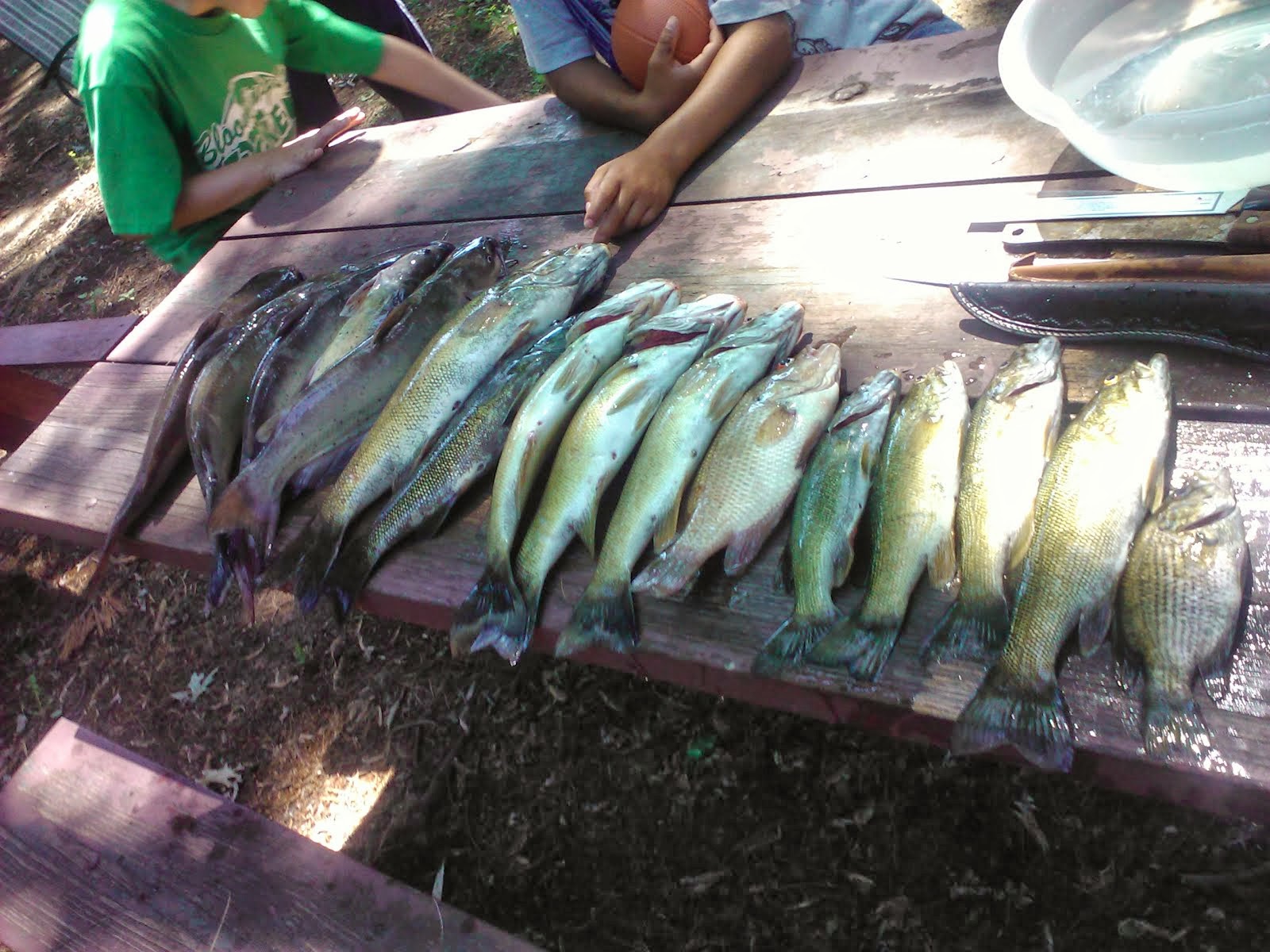 fish the foster kids and I caught below dam Little Falls,MN.