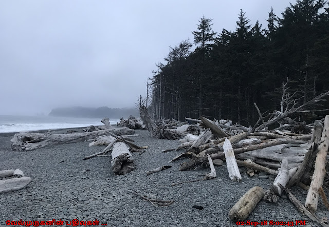 Rialto Beach  Olympic National Park