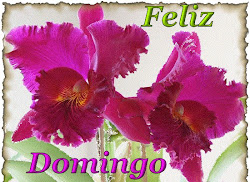 domingo feliz flores mamma della festa rosas auguri giorno imagenes bonitas tienes piensa todo lo amore aquello falta hace te