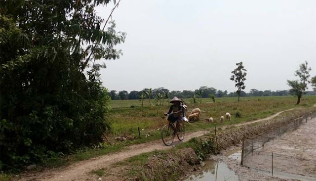 Rezeki Tak Kemana, Tapi Jika Tak Kemana-mana Tak akan Dapat Rezeki