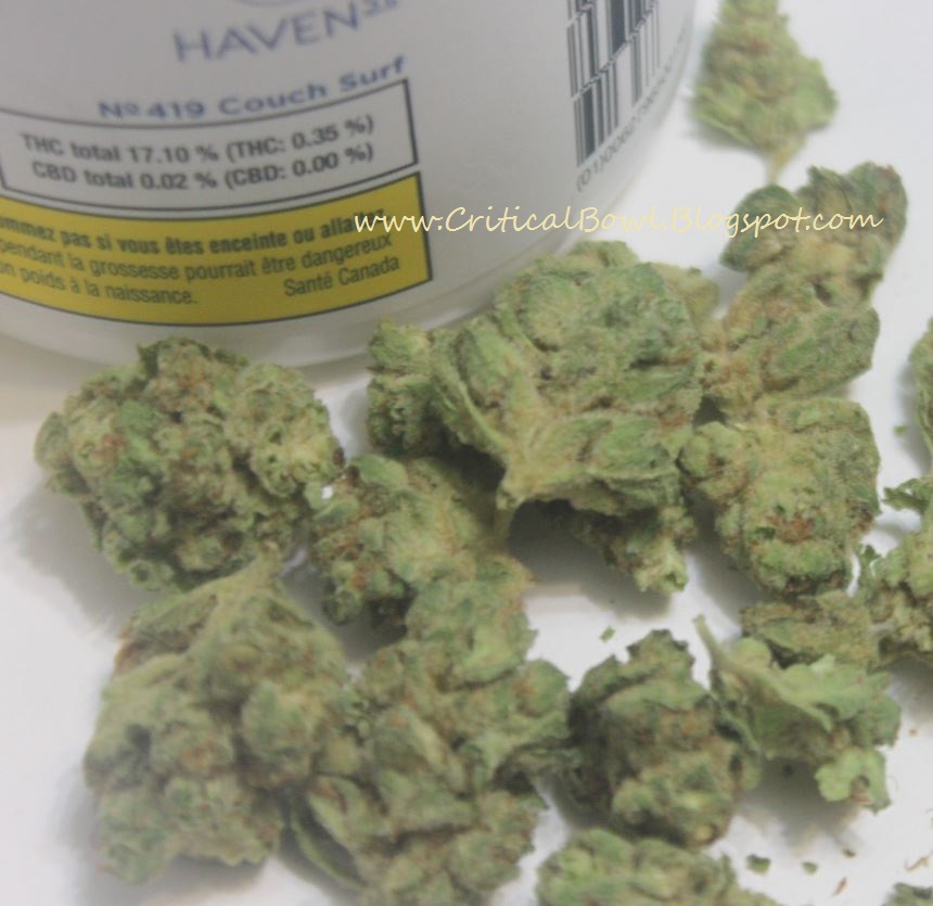 Review Haven St No 419 Couch Surf By Terrascend