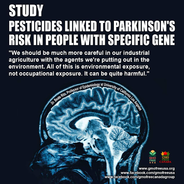 Http Www Dailymotion Com Video Xzvu6u 2013 05 15t06 33 00 02