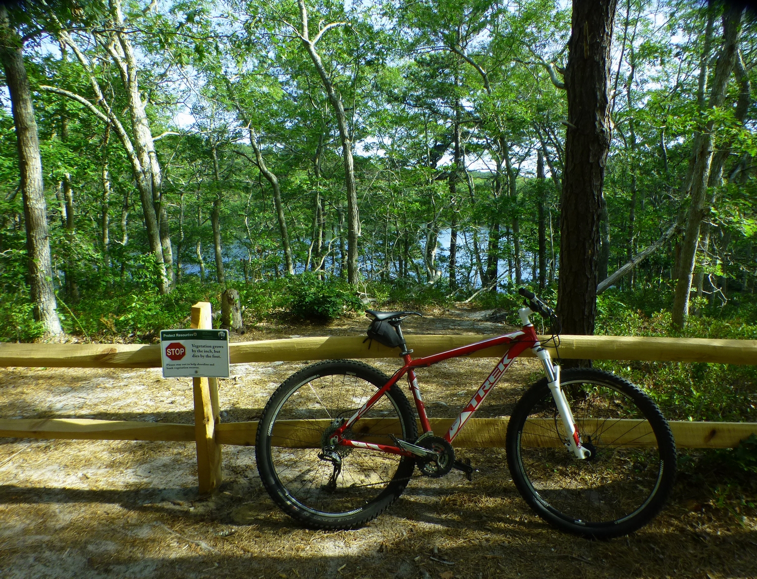 The Saratoga Skier and Hiker Truro Hills and Ponds Mountain biking