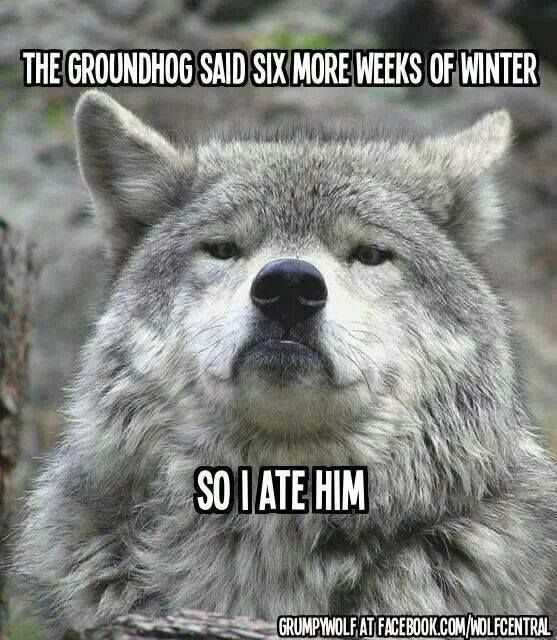 Click for more  Groundhog Day funnies! - Ground hog day sillies -- #FridayFrivolity funny memes via Devastate Boredom